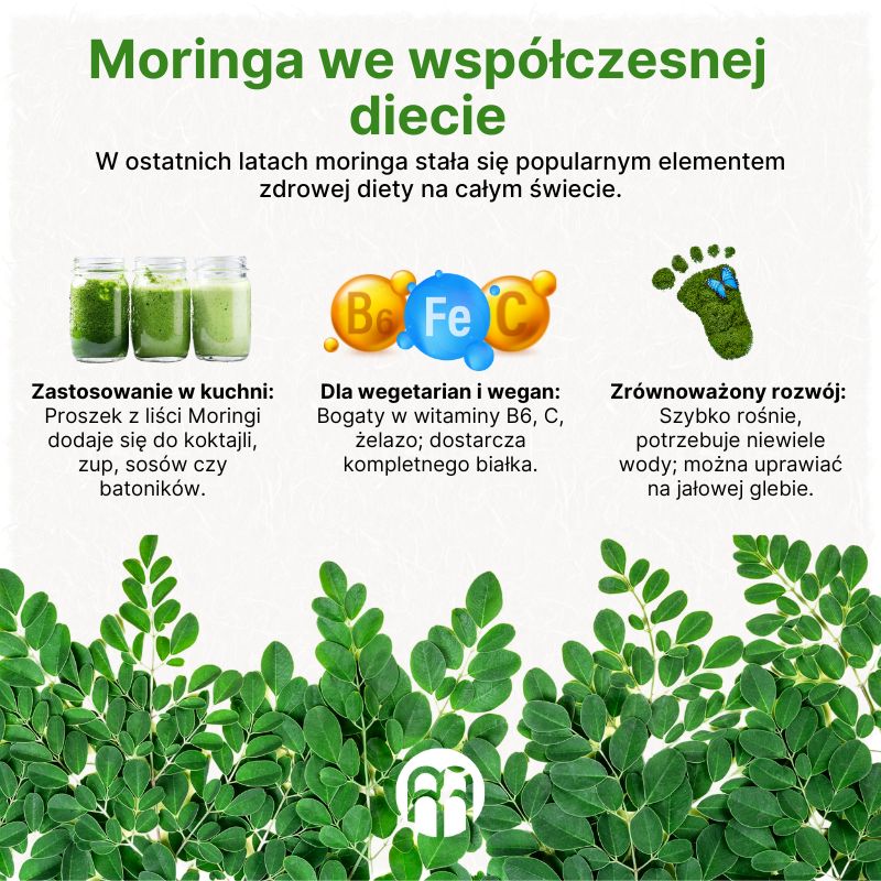 (Polština) Moringa v moderní stravě